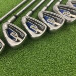 King Cobra FP Irons / 5-PW / Regular Flex Cobra N.S. Pro 1030H Steel Shafts
