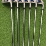 King Cobra FP Irons / 5-PW / Regular Flex Cobra N.S. Pro 1030H Steel Shafts
