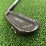 Regency Custom Beryllium Copper #2 Iron / R-Flex Dynamic Gold R300 Steel Shaft