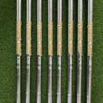 TaylorMade P790 2021 Irons / 4-PW+GW / Stiff Flex Dynamic Gold Steel Shafts