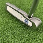 Ladies Odyssey Divine Line Putter / 32.5 Inch / Odyssey Steel Shaft