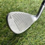 RAM Concept X #8 Iron / Regular Flex RAM Concept X Low Torque Graphite Shafts